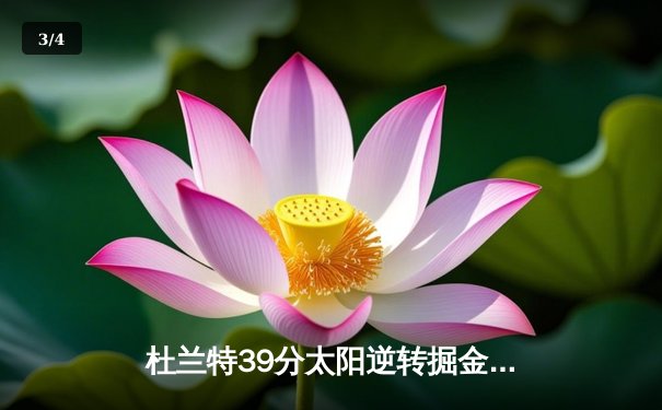 杜兰特39分太阳逆转掘金，布克关键三分锁定胜局 - 3